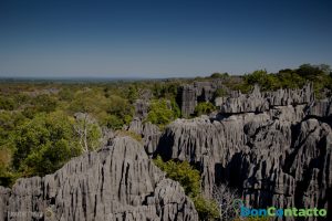 Gran Tsingy de Bemaraha