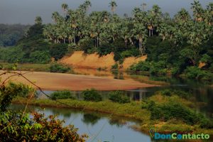 Parque Nacional de NIokolo-Koba