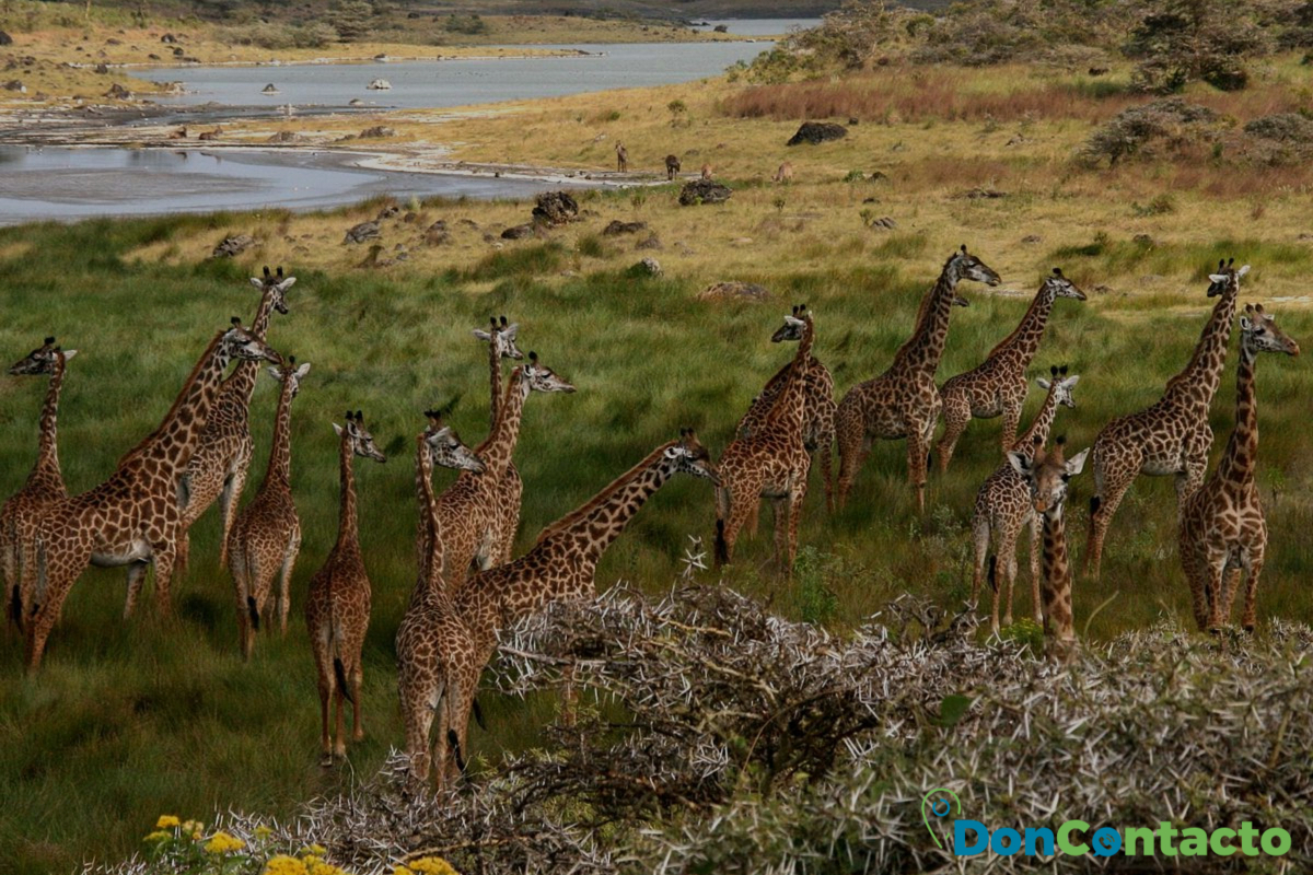 Parque Nacional de Arusha 