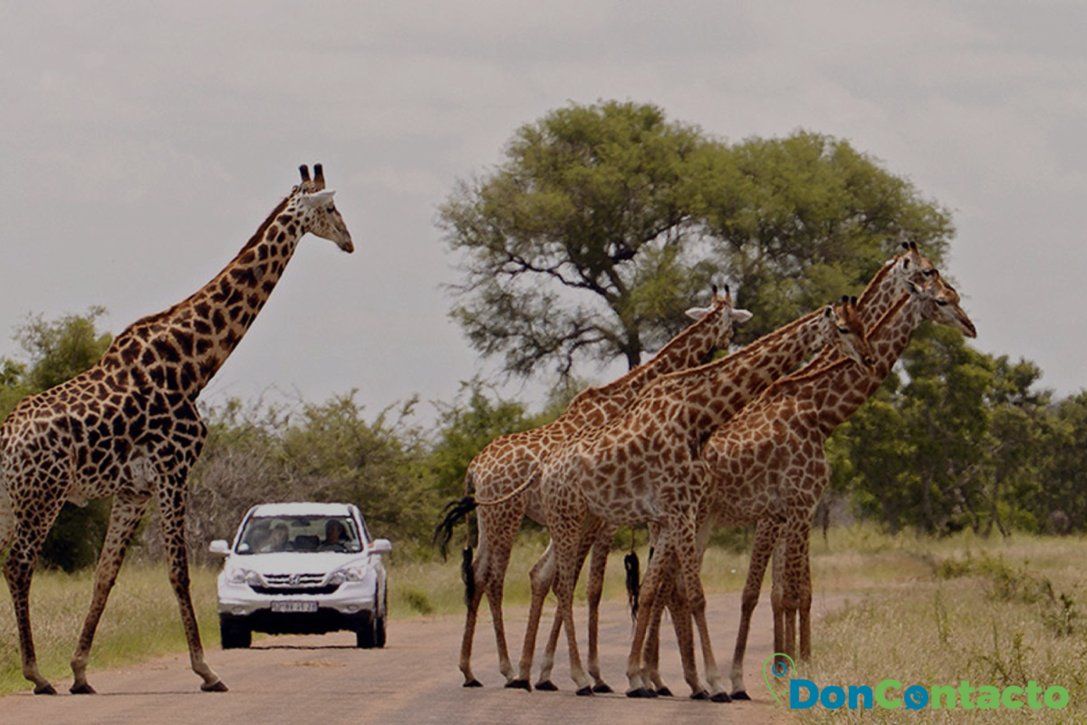 Parque nacional de Kruger,