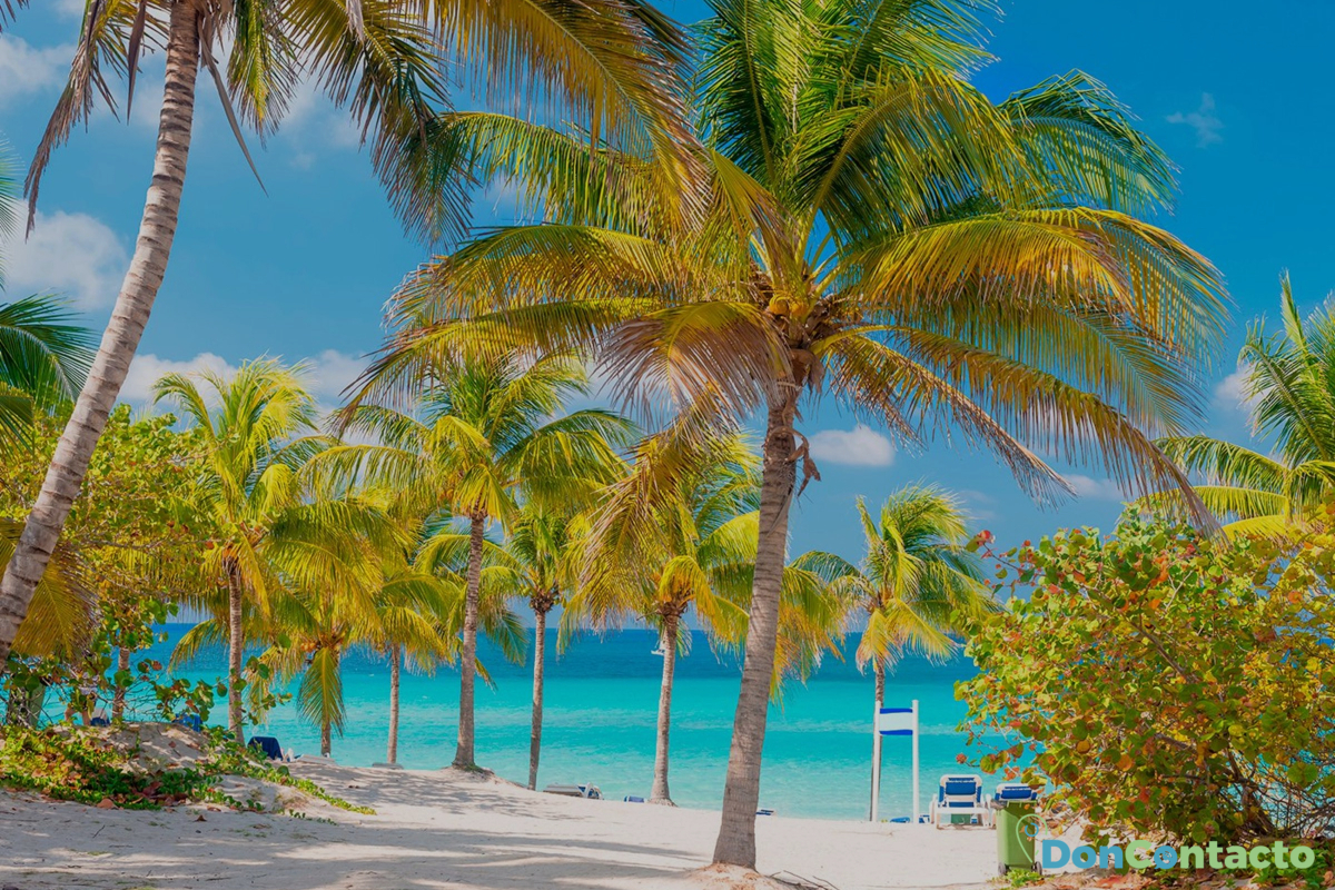 Playas caribeñas en invierno 