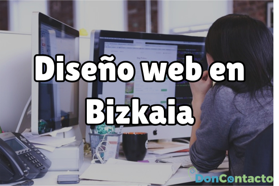Diseño web en Bizkaia