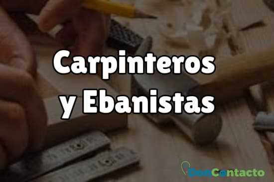 Carpinteros y Ebanistas