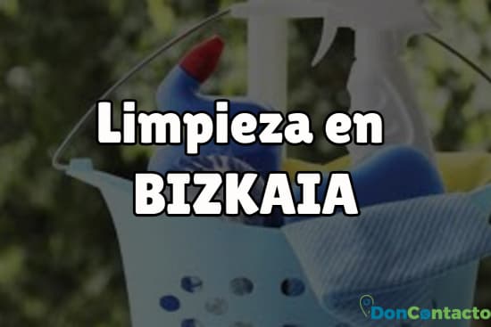 Limpieza en Bizkaia