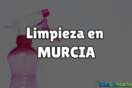 Limpieza en Murcia
