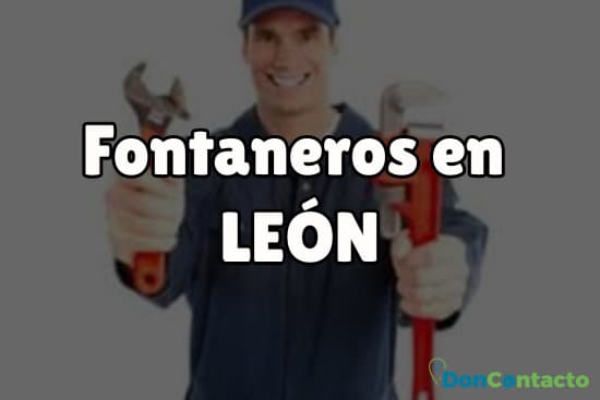 Fontaneros en León
