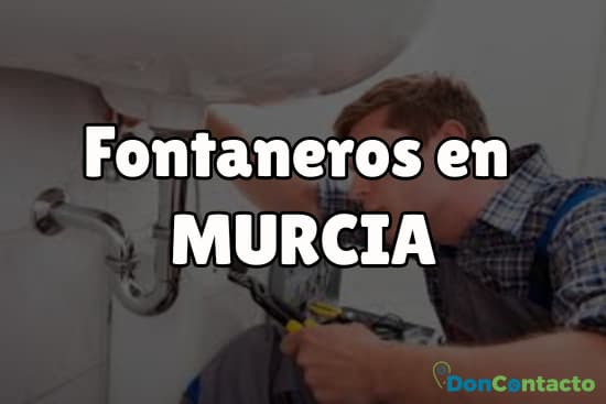 Fontaneros en Murcia 1 Fontaneros en Murcia