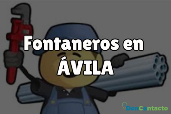 Fontaneros en Ávila